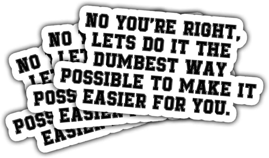 4 x 3Pcs No You're Right Lets Do It The Dumbest Way Possible To Make It Easier for You Sticker Joke Let's Do It The Dumbest Way Stickers Sarcastic Stupid Car Decal for Laptop Bottle Phone Case 5"