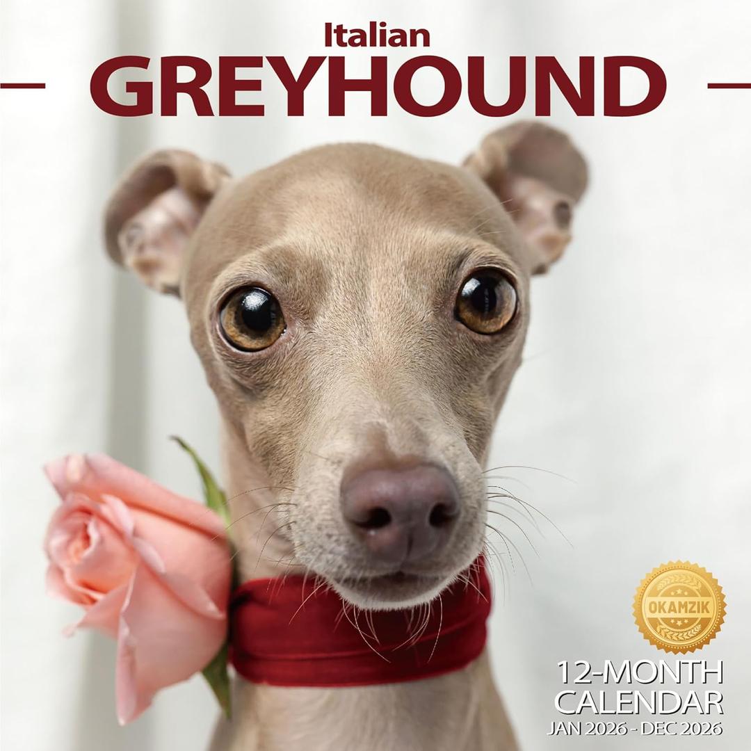 2026 Wall Calendar Italian Greyhound Planner Calendar, Hangable Monthly Wall Calendar with Large Blocks for Organizing & Planning, Academic Schedule, Home, Office & family, Thick & Sturdy Paper (12"x24" Open)