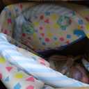 Baby Play Mat, 7-in-1 Tummy Time Activity Gym Mat, Washable Baby Lounger Nest, Portable Floor Seat for Home & Travel, Baby Essentials Gift for Infant Newborn 0-6-12-18 Months (Blue)