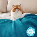 Bedsure GentleSoft Sherpa Fleece Blanket Queen Size for Bed, Non-Heated, Thick and Warm Throw for Women and Men, Soft Fuzzy Plush Queen Blanket for Winter, Teal, 90x90 Inches