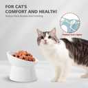 Raised Cat Food Bowls Ceramic - Tilted Elevated Cat Bowls Anti Vomit - 6.1 inch Extra Wide Cat Feeding Bowls Whisker Friendly - Stress Free Shallow Cat Bowl for Dry Wet Food - Dishwasher Safe - 9.5 oz