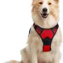 rabbitgoo Dog Harness No Pull with 2 Leash Clips, Adjustable Soft Padded, Reflective Oxford No Choke Pet Vest with Easy Control Handle for Medium Sized Dogs, Red, M