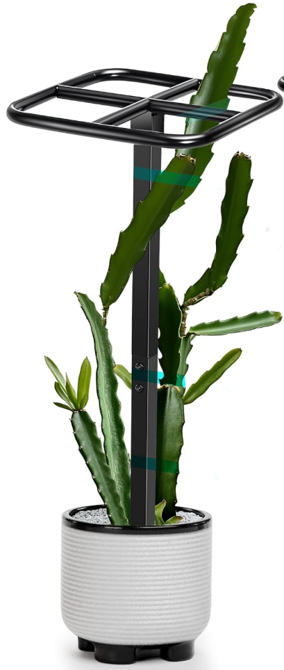  Dragon Fruit Trellis Adjustable Metal Garden Plant Climbing Support with Wide Stretch Ties for Outdoor Vertical Gardens Vining Plants(48 Inch)