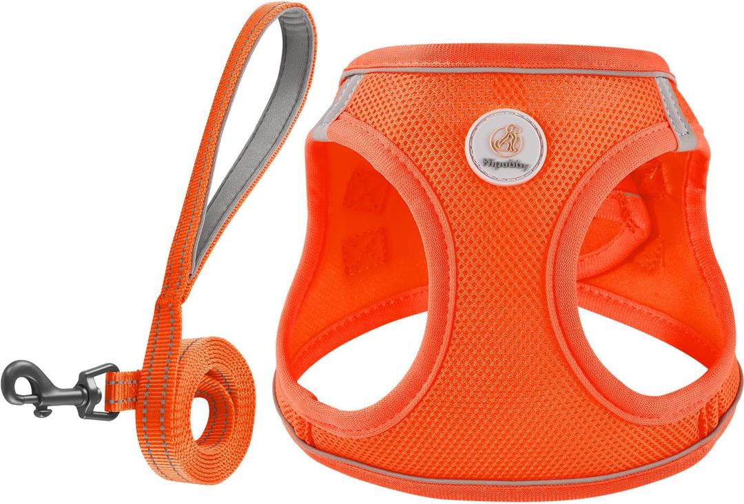 Hipubby Dog Harness and Leash Set, No Pull Soft Mesh Puppy Harness for Small Medium Dogs, Cats - Step in Reflective Breathable Lightweight Vest Harness for Walking, Training - Orange, XS (XS(Chest: 13.5"-15"))