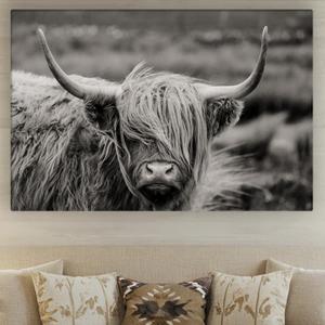 Texas Longhorn Cow Canvas Wall Art - Bull Print Home Decor - Barnhouse Wall Art - Farmhouse and Wild West Small to Extra Large Prints (Highland Cow in Black and White, 35L" x 53W") Texas Longhorn Cow Canvas Wall Art - Bull Print Home Decor - Barnhouse Wall Art - Farmhouse and Wild West Small to Extra Large Prints (Highland Cow in Black and White, 35L" x 53W")