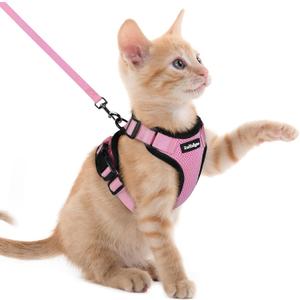 rabbitgoo Cat Harness and Leash for Walking, Escape Proof Soft Adjustable Vest Harnesses for Cats, Easy Control Breathable Reflective Strips Jacket, Pink, XXS