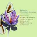 Clarins Purifying Toning Lotion | Less Oily Skin After 14 Days of Use* | Cleanses, Hydrates, Purifies, Mattifies and Balances Skin's Microbiota | Contains Witch Hazel | Combination To Oily Skin Types (6.7 Fl Oz (Pack of 1))