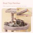 Heybly Heavy Duty Cat Tree, 64.2-Inch Tall Tower for Large Indoor Cats with Widened Structure, Cat Furniture with Big Platforms, Extra-Large Hammock, Sisal Scratching Posts & Board, Muchroom HCT027MU