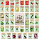Set of 43 Assorted Vegetable & Herb Seed Packets - Over 10,000 Seeds! - Includes Mylar Storage Bag - Deluxe Garden Heirloom Seeds - 100% Non-GMO
