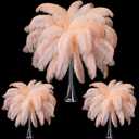 Maitys 90 Pcs Large Natural Ostrich Feathers Bulk 14-16 Inch (35-40cm) 12-14 Inch (30-35cm) 10-12 Inch (25-30cm) Ostrich Feathers Plumes for Centerpieces Wedding(Champagne)