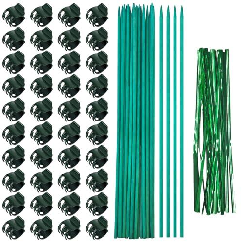 40Pcs Plant Clips and 20Pcs Bamboo Garden Stakes for Tomato Orchid with 20Pcs Metallic Twist Ties, Plant Stem Support Plant Stakes for Indoor Outdoor Vine Plants