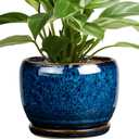 SQOWL Ceramic Planter 8 Inch - Pot for Indoor Outdoor Plants Round Ceramic Plant Pot with Drainage Hole and Saucer Modern Flower Pot Glazed Blue