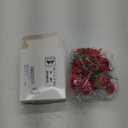 BBTO 12 Pcs Rose Hair Clip Mexican Hair Accessories for Flamenco Dancer Women Mexican Flowers Bridal Flower Clips for Halloween Wedding Dance Birthday Bridesmaid(Red)