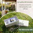 Pet Memorial Gifts for Dogs, Loss of Cat Sympathy, Remembrance Bereavement Crystal Suncatcher with Wing Paw, Cat Memorial Gift for Passing Away Loving Pets (Silver)