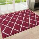 Finchitty Indoor Door Mat, Dirt Resistant and Absorbent, Low-Profile, Non-Slip, Washable Inside Floor Mats for Front Door, Back, and Entrance, 36" x 24", Burgundy