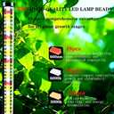 2 Pack LED Grow Lights for Indoor Plants Full Spectrum, 48W 65 Inch Plant Lights for Seed Starting with Timer and 10 Level Dimmable Standing Plant Growing Lamp for Greenhouse with Hanging Accessories