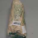 POP CLOSETS Padded Underwear for Women Hip Enhancer Shapewear Shorts Tummy Control Panties Butt Pads for Bigger Butt (Large, Beige)