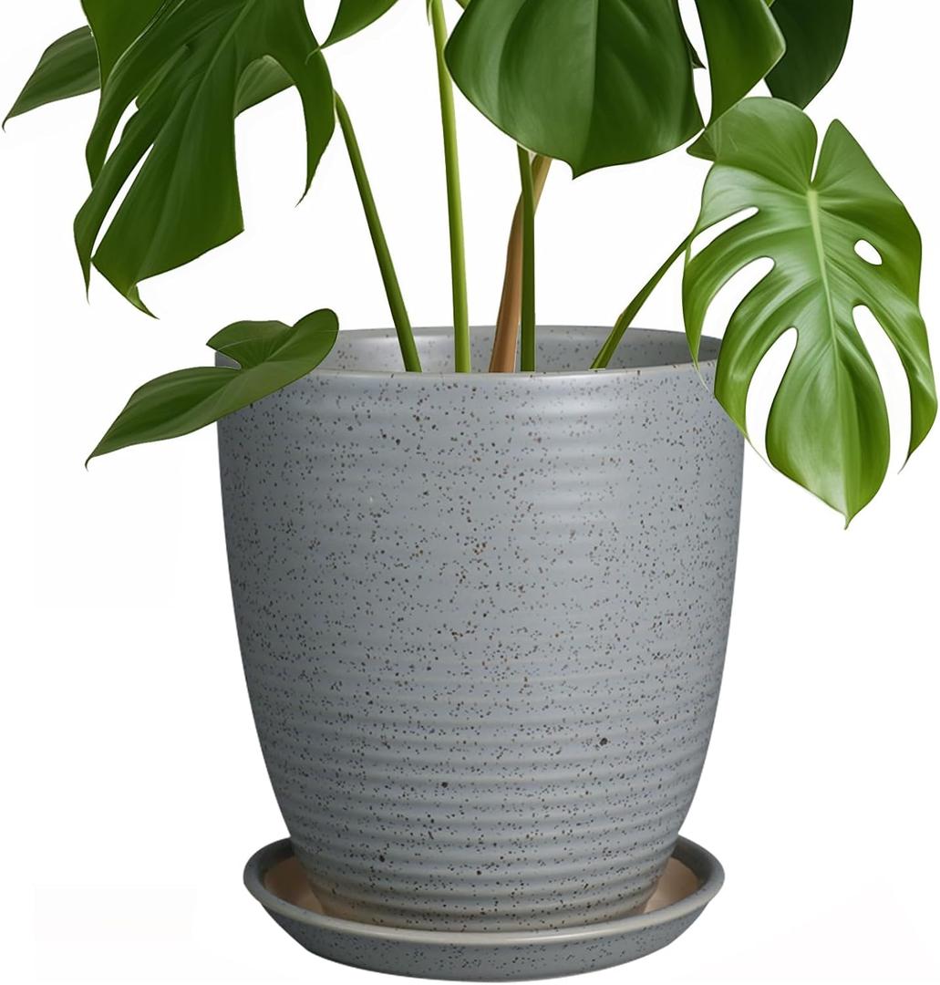8 Inch Plant Pot Ceramic Planter Pot with Drainage Hole and Saucer Modern Round Flower Pot for Indoor Plants Light Gray (Matte Gray Pitting)