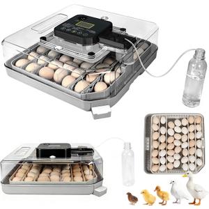 Series IV - 48 Egg Professional Incubator for Breeders, Automatic Sensor-Based Precise Humidity & Temp Control, Adjustable Spacing, Auto Turn & Auto Stop, Preset Incubation Days, Chick Separator