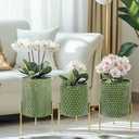 Growsun Plant Pots with Stands, Set of 3 - Indoor Flower Pots with Drain Holes & Rubber Stoppers, Includes Clear Plastic Nursery Pots - Stylish Modern Home Decor for Living Room, Office, and Balcony, Honeycomb, Green