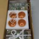 MTLEE 24 Pcs Succulent Tealight Candles - Bulk Party & Baby Shower Pack with Terracotta Pot, Organza Bag, Tags, Twine