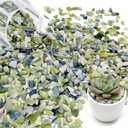 11LB Natural Gravel Pebbles, 1/4 Inch Gravel Stones for Succulent and Cactus, Aquariums, Terrarium, Vases and Indoor Outdoor Gardening,Green