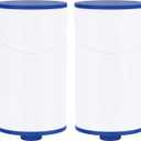 Spa Filter Compatible with FC-2402, 303279, Free Flow, AquaTerra, Fantasy Hot Tub Filter, 1 1/2" Finer Thread, 2 Pack
