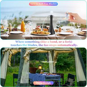 Fly Fans for Tables Rechargeable, Flies Fan to Keep Flies Away by Soft Blades, Food Fans for Camping, Picnic, Fishing, 2 PCS, Black，Party Essentials Picnic Accessories for Outside