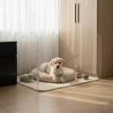 Clear Acrylic Dog Gate, Indoor Pet Barrier, Free-Standing 24" H Foldable 3-Panel Fence for Puppies & Small Dogs, No Drilling, Visual Boundary for Doorways, Hallways, Kitchens & Pet-Free Areas