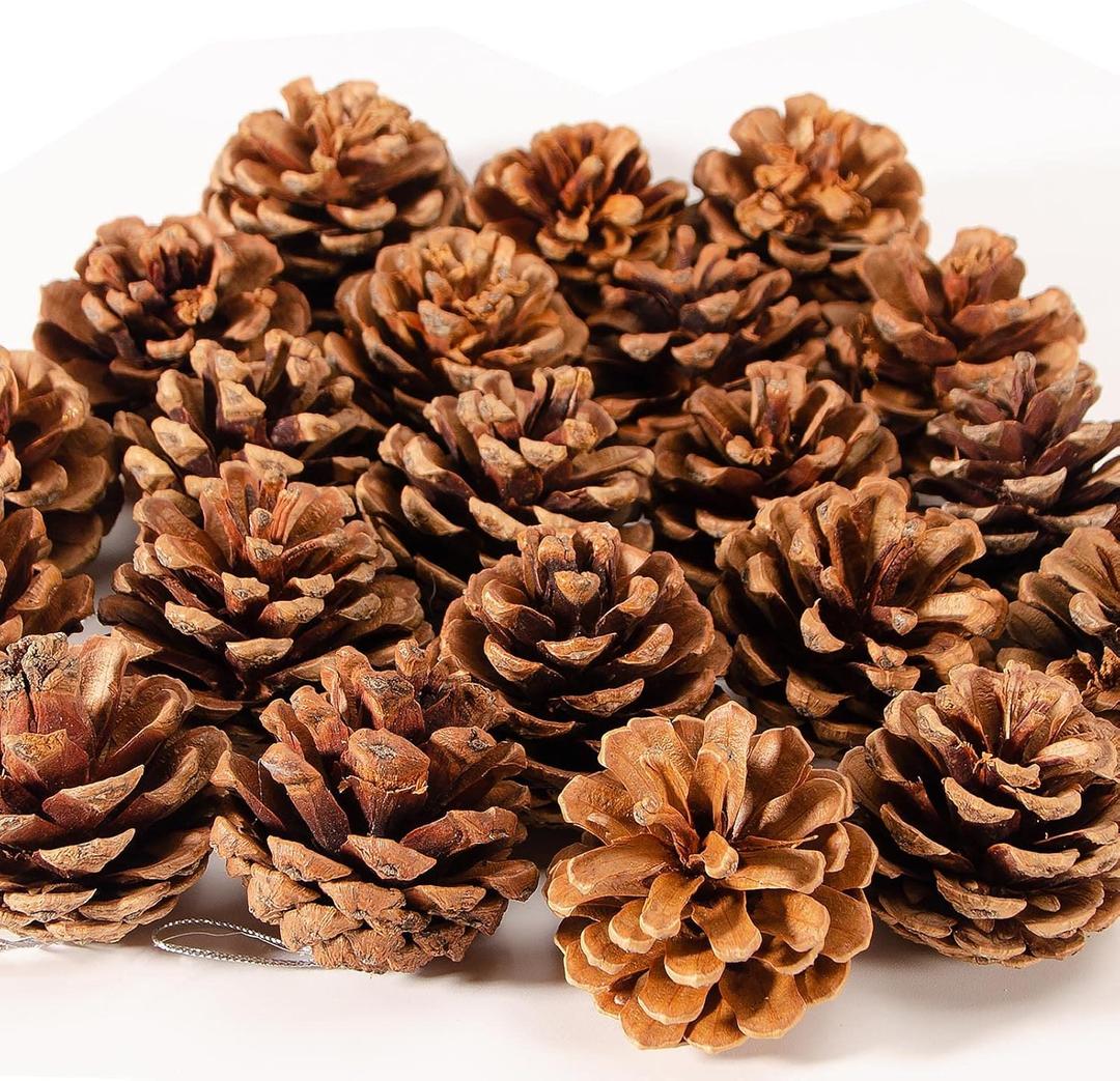 24PCS Christmas Natural Pine Cones,Rustic Pinecones with String for Crafts & Decorating Winter Xmax Holidays Vase and Table Bowl Fillers(Dia. 1.57-1.96 Inches)