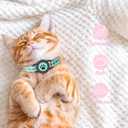 (Blue) GPS Tracker for Cats, Waterproof GPS Cat Trackers Cats Collar with Bells, No Subscription, GPS Cat Collar, Adapt with Apple Find My (iOS Only) Finder Tag for Vehicles, Pets, Kids