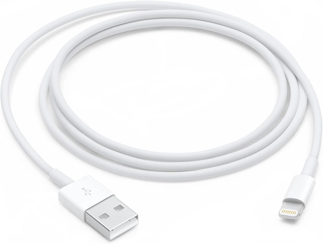 Apple Lightning to USB Cable (1 m)