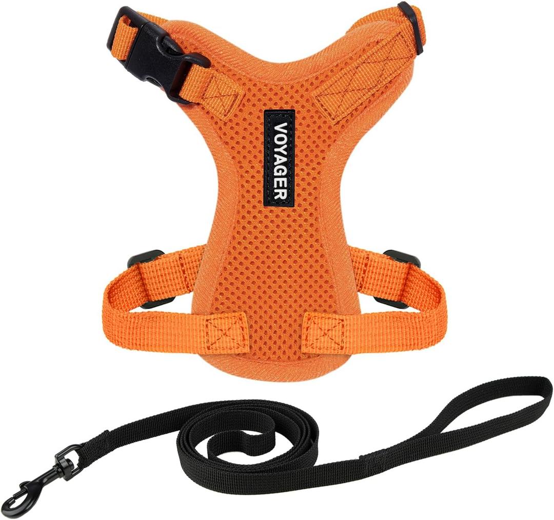 Voyager Step-in Lock Adjustable Cat Harness w. Cat Leash Combo Set with Neoprene Handle 5ft - Supports Small, Medium and Large Breed Cats by Best Pet Supplies - Orange, XS (XS (Chest: 13 - 16" * Fit Cats))