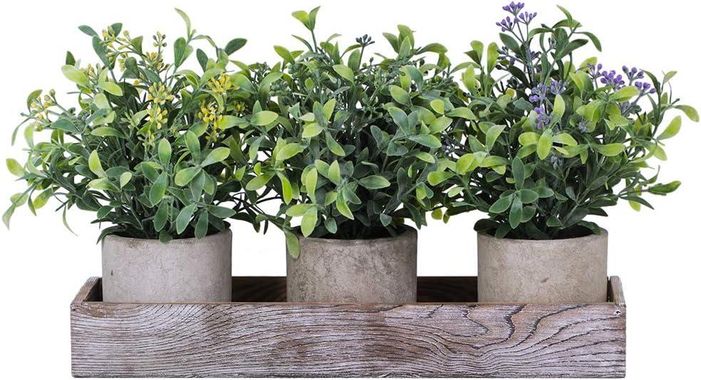 Winlyn Set of 3 Mini Artificial Potted Plants Faux Seeded Boxwood Greenery Arrangement with Wood Planter Box for Indoor Office Apartment Wedding Tabletop Decorations 8.5" Tall