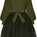 Toddler Girl Tulle Dress Puff Long Sleeves Tutu Dresses with Tie Belt for Princess Brithday Party 1-6T