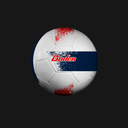 Baden USA Soccer Ball