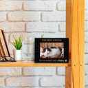 Pet Memorial 4x6 Picture Frame, Dog Cat Bereavement Remembrance Gifts, Sympathy Gifts for Loss of Pet Dog Cat, the Best Angels Have Wings and Whiskers Picture Photo Frames for Desk Decor