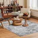 Washable Area Rug 4' x 6' Vintage Traditional Persian Mat - Foldable Distressed Non-Slip Machine Washable Carpet for Living Room Bedroom Kitchen Home Decor - Graphite and Mist