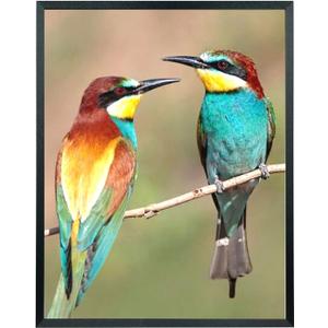 Mxtallup 19x24 Picture Frame Solid Wood Poster Frame for Wall 19x24 Photo Frames Family Black (T22B1924)