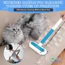 2 x Multifunctional Pet Hair Remover tool, 4 in 1-Reusable Washable Long Handle Dog&Cat Fur Hair Remover for Furniture,Carpet,Couch,Clothes,Bedding,Car,Window,Better than Lint Rollers, with 2 Scrapers