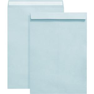 9" x 12.75" Blue Self-Seal Catalog Envelopes, 50