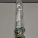 RoomMates RMK11450WP Black and Green Tropical Flowers Peel and Stick Wallpaper (5" x 16")