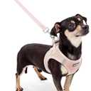 rabbitgoo Dog Harness Small Sized and Leash Set, Step in Soft Light Puppy Vest, Breathable Mesh Pet Harness, Reflective for Outdoor Safe Walking, Pink (XXXS (Chest: 10.8 - 11.8"))