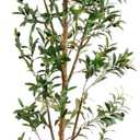 Nearly Natural 9FT Tall Silk Faux Olive Tree for Home and Office Decor, Potted with Natural Wood Trunk, Realistic Branches and Lifelike Fruits