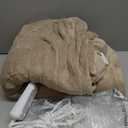 Sunbeam Royal Posh Velvet Heated Electric Blanket Queen Size, 90" x 84", 12 Heat Settings, 12-Hour Selectable Auto Shut-Off, Fast Heating, Machine Washable, Warm and Cozy, Champagne