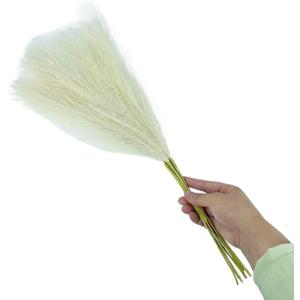 Pampas Grass Large 55CM Fluffy Pampas Grass Decor Flower Fake Plant Reed Simulated Wedding Party Home Decoration Artificial Flowers(Bg) (1pc)