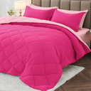 Queen Comforter, Reversible Bed in a Bag Queen Size, All Season Bedding Comforter, Hot Pink & Baby Pink