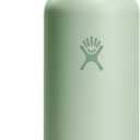 Hydro Flask Water Bottle - Insulated Stainless Steel - Non Spill, Leakproof in 21 Oz Aloe Green