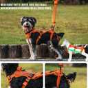 OneTigris Dog Lift Harness for Small Dogs XS, Dog Sling Carrier for Small Dogs, Full Body Lift Vest with Reflective Straps, Support Harness for Back Legs (Orange, XX-Small)