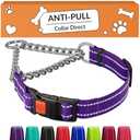 CollarDirect Martingale Dog Collar with Stainless Steel Chain and Quick Release Buckle - Reflective Collar for Large, Medium, Small Dogs - Purple, Medium (Neck Size 14"-17")